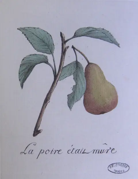 la poire était mûre